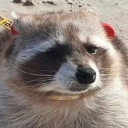 soul_krusher#8447's avatar