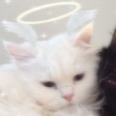 avatar {Explosive Diarrhea}