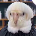 avatar Bambi eyes: requiem