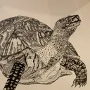 sunnytheartist