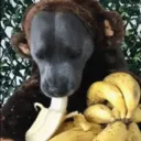 aziac