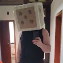 dicevr