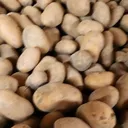 sylvainpastel