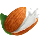 sweatyalmond