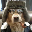 dagooddude