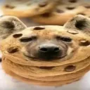 sammypatitas