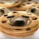 sammypatitas