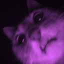 avatar Colocasia esculenta🍠