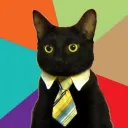 0xcat.eth