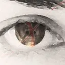 ixzellent