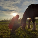 avatar Schnienchen 𓆩♡𓆪
