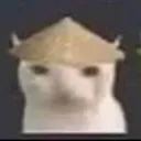 coniki