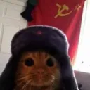 exarkun.