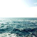 iiocean
