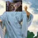 tommeke2.0
