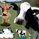 avatar mathew foster