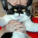 missbrunettee