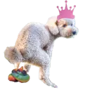 apugh89