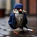 jimmychooee