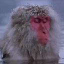 avatar [̲̅W][̲̅i][̲̅c][̲̅0] ✞✞✞