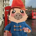 mrpleon