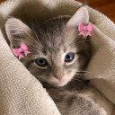 avatar 𝓜𝓪𝓼𝓱𝓴𝓪 🍭