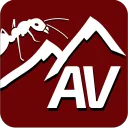 antsvienna