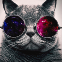 avatar 🎁🎄 racer 🎄🎁