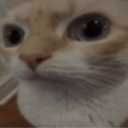 avatar 🎁🎄 racer 🎄🎁