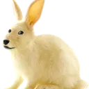 1chiyun's Avatar