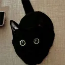 terror_casey