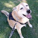 cursi10#9948's avatar