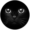 paul.cat