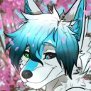 mayaookami