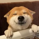 mstrlc