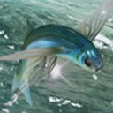 enimaroah