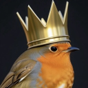 avatar ♦Robin Bird♦