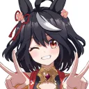 kitaxiv