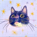 zillarawr