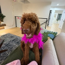 avatar spicyricecakez