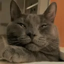 casualcurious
