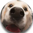 dooodleplex