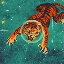 firmament1