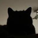 plasmafox256