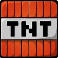 thetntexpert29