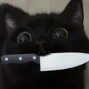 ringaki
