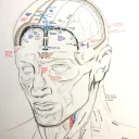 autosketch3092