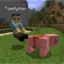 tomitytom