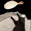 tanausis