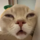 aegyo_juseyo
